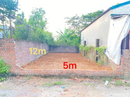 Bán gấp 60,9M2 thôn 2 Thạch Hòa cách ĐH quốc gia 900M giá chỉ 750 triệu