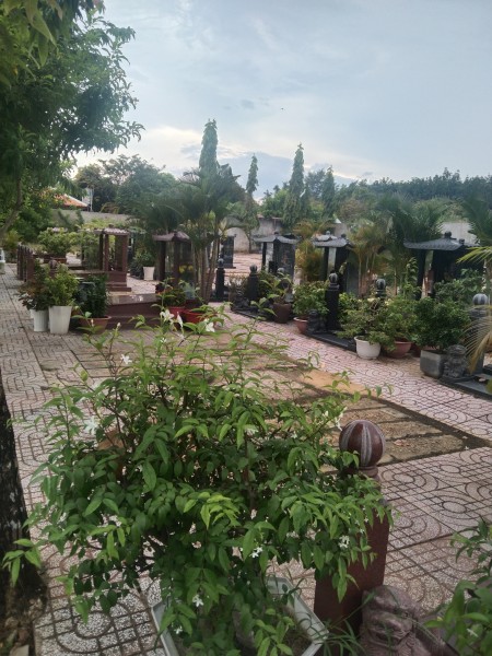 Đi đến slide 7