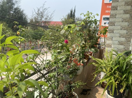 Đi đến slide 3