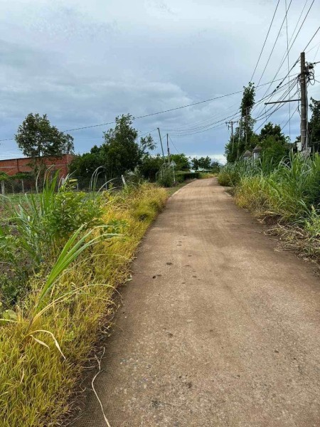 Bán đất ngay xã Xuân Tây, diện tích 1000m² bê tông giá tốt