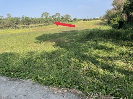 Đi đến slide 8