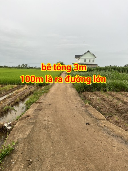 Đi đến slide 11