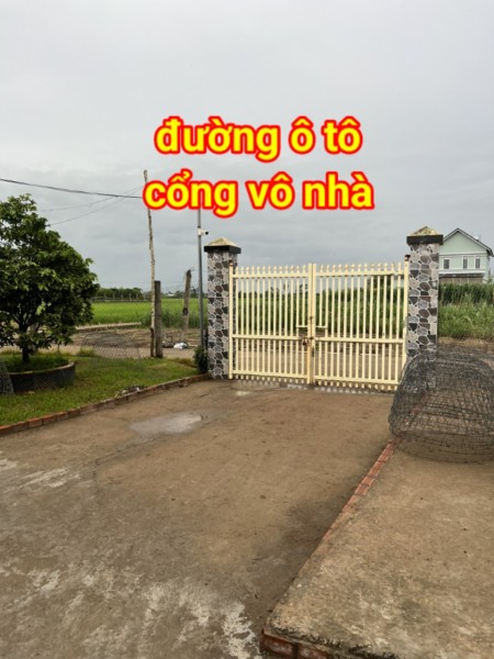 Đi đến slide 12