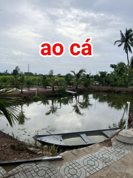 Đi đến slide 7