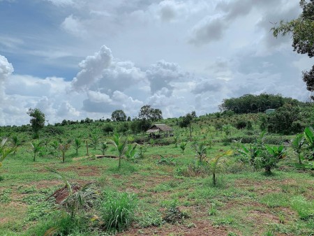 Bán lô 800m2 Sông Xoài, Phú Mỹ, Gần đường lớn, cách VT 40km 7.56 tỷ