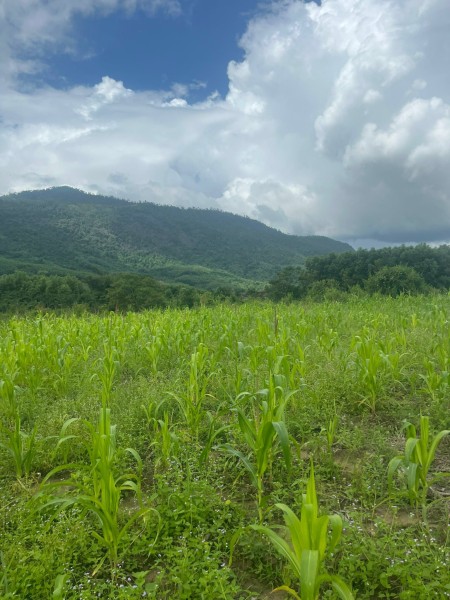 Đi đến slide 2