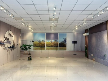 Cho thuê nhà vip mặt tiền đường Trần Văn Giàu