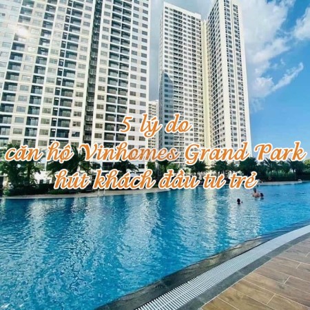 Ảnh bài viết: Top 5 lý do căn hộ Vinhomes Grand Park hút khách đầu tư trẻ