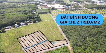 Đất nền Chánh phú Hòa, Bến Cát, Bình Dương giá 750 triệu