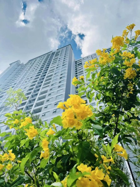 Đi đến slide 10