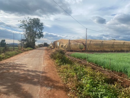 Bán đất ngộp giá rẻ hơn thị trường