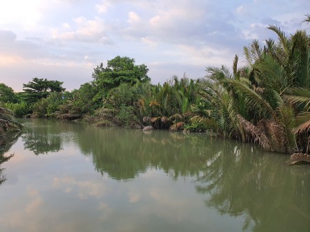 Trời ơiiiii: Đất Vườn CLN Long Phước Quận 9 7tr/m2 Biệt thự Mặt Sông View Đẹp Giá Rẻ Lắm