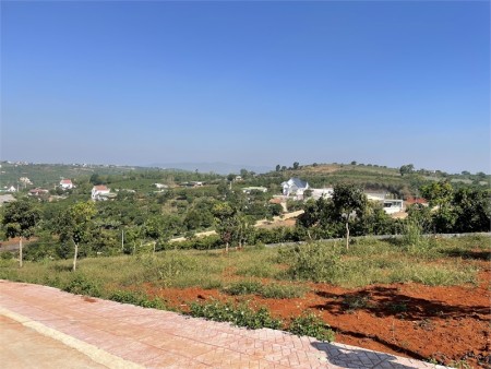 Vỡ nợ cần bán gấp chính chỷ lô đắt cách nhựa 100m sổ hồng riêng