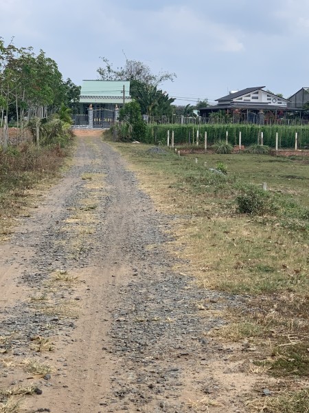 Bán Gấp Lô Đất 5x35m Phước Ninh cách đường nhựa 30m giá 350 triệu