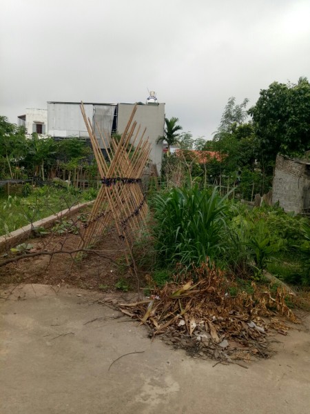 Chính chủ cần bán đất thôn 3, Vạn Phúc, Thanh Trì, SĐCCC