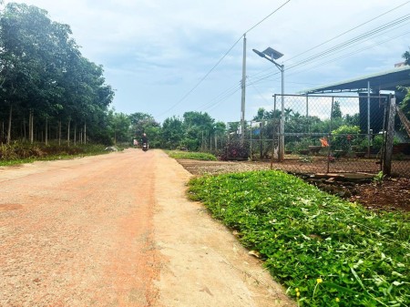 Chủ nhà bể nợ cần bán gấp đất ở Nghĩa Trung - Bình Phước