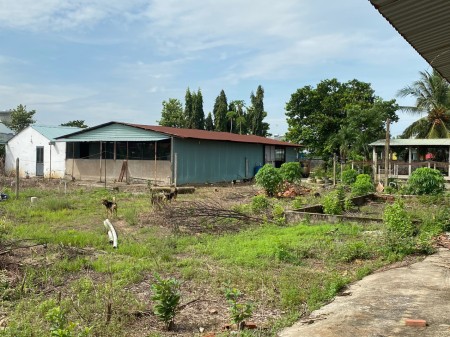 Đi đến slide 7