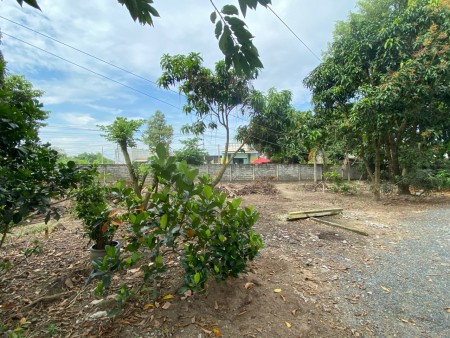 Đi đến slide 12