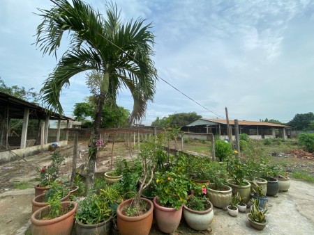 Đi đến slide 11