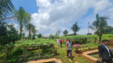 Bán đất vườn ngay mt quốc lộ 20 gần hồ Trị An giá rẻ đầu tư, sổ hồng riêng, có ngân hàng hỗ trợ vay