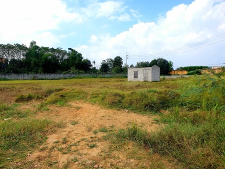 Bán Đất Chính chủ, Phân lô, Nhà vườn, Văn phòng Công ty, Nhà xưởng