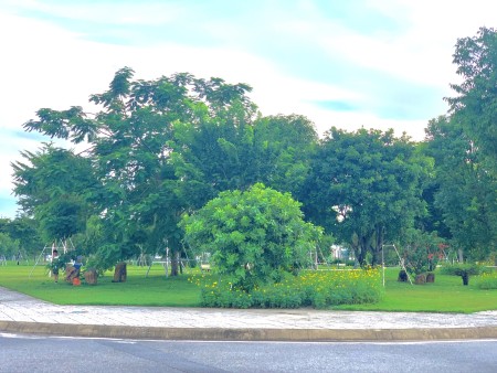 Đi đến slide 4