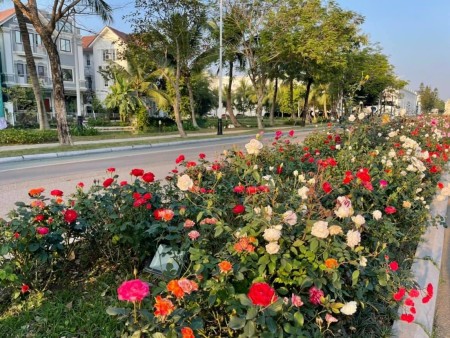 Chủ nhà gửi bán căn biệt thự song lập Anh Đào, DT 161m2 đất hoàn thiện cơ bản. Giá bán 3x tỷ