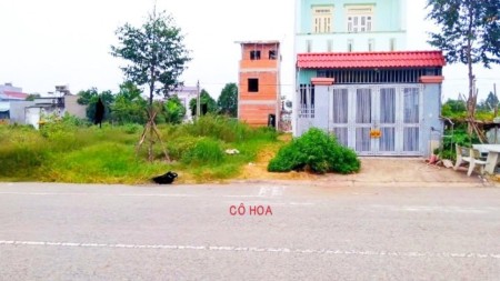 Tuổi cao về quê định cư gấp 540M2 đường nhựa ngay TT Bình Dương. Giá 1 tỷ 1.