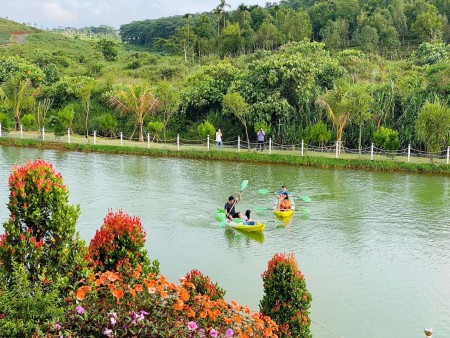 Đi đến slide 12