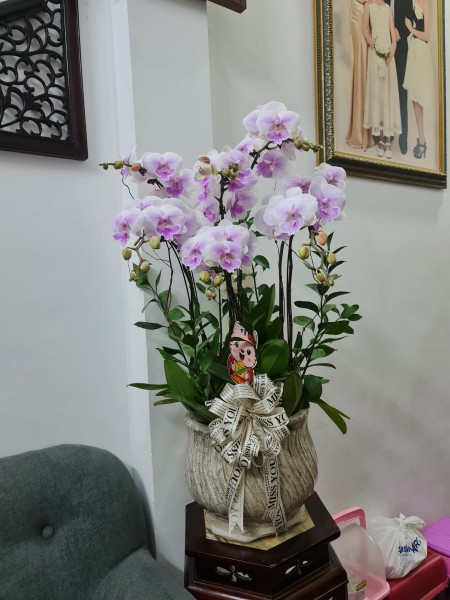 Bán nhà Đại Cồ Việt, 50m2, ô tô cách 20m, 4 tầng, giá 7 tỷ 6