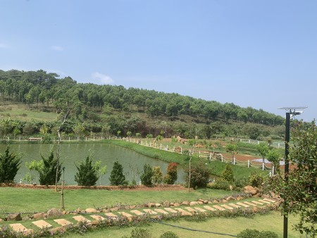 Đi đến slide 7