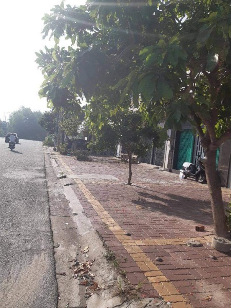 Cần cho thuê nhà nguyên căn khu vực TÁI ĐỊNH CƯ