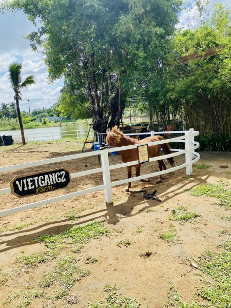Đi đến slide 6