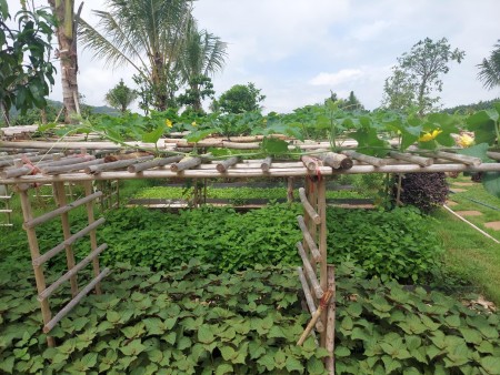 Đi đến slide 3