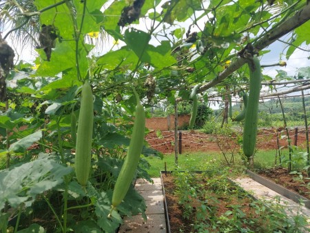 Đi đến slide 4