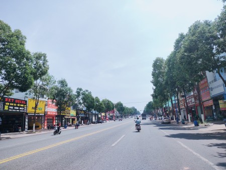 Đi đến slide 6
