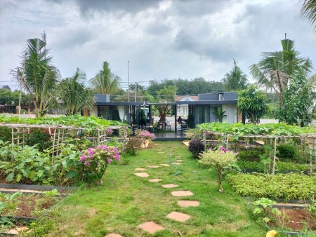Bán đất nhà vườn nghĩ dưỡng 1000m2 (10x100) – chỉ 1,4tr/m2. Túc Trưng, Định Quán, Đồng Nai.