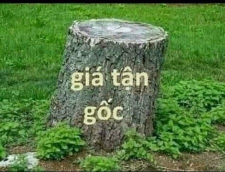 Bán đất nền dự án khu đô thị mới Phúc Thành 3 ( giá cắt lỗ)