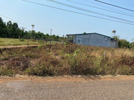 Giá ngợp 400triệu 400m2 đất vườn SHR ấp Phước An, Phước Thạnh, Gò dầu.