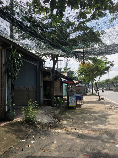 Đi đến slide 12