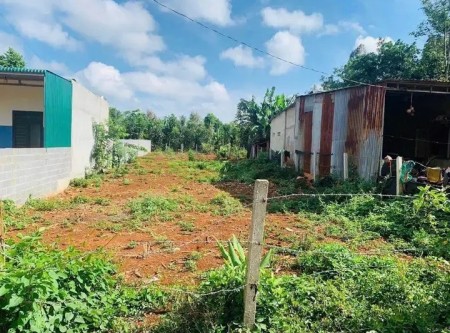 Cần ra nhanh lô đất thổ 151m2 590tr, SHR đường Nguyễn Thị Hé, Tân Thông Hội, Củ Chi.