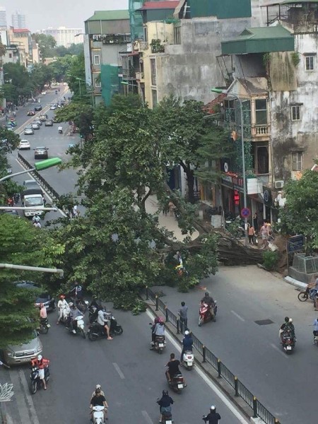 Bán nhà phố Tôn Đức Thắng – Lô Góc – Mặt Phố - Vỉa Hè - Kinh Doanh Đỉnh, DT 80m², giá 19 tỷ