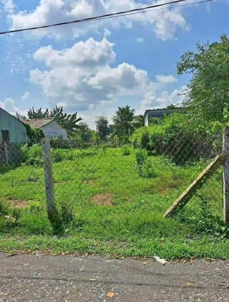 213m2 cần bán nhanh giảm sâu còn 610 triệu đường Bàu Tre, Tân An Hội, Củ Chi.