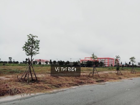 Đất ngay trung tâm hành chính huyện Bàu Bàng