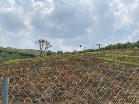 Đi đến slide 11