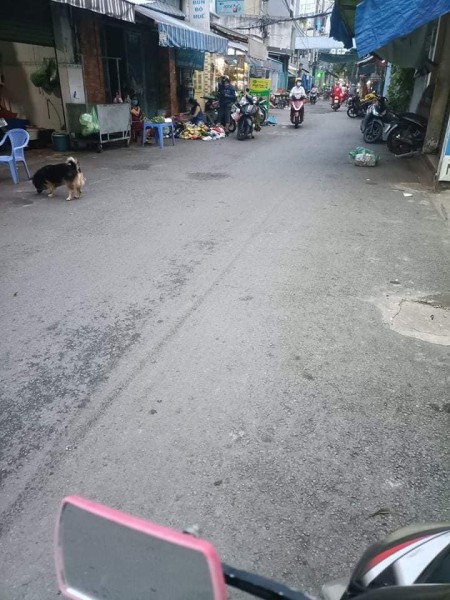 Đi đến slide 6