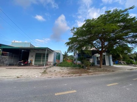 129m2 đất thổ SHR giá ngợp 590 triệu đường Nguyễn Thị Hé, Tân Thông Hội, Củ Chi