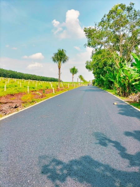 Đi đến slide 10