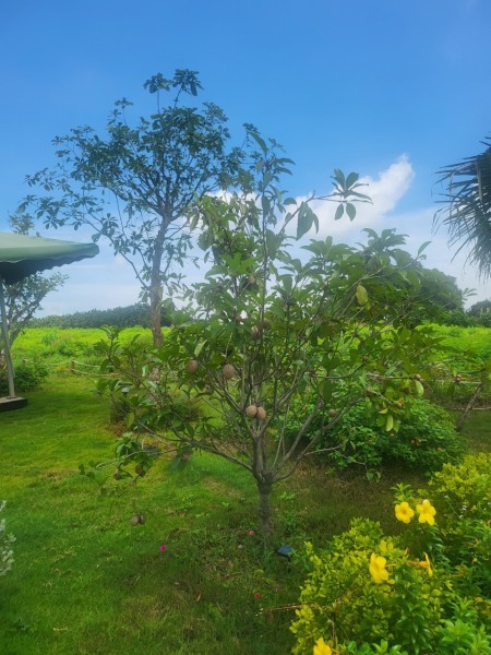 Đi đến slide 8