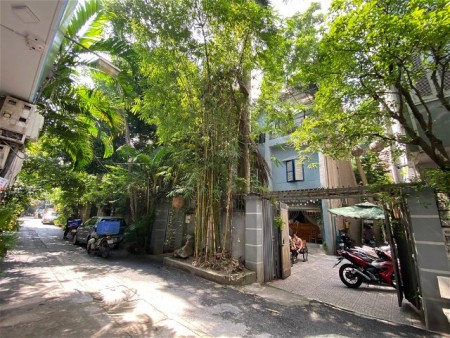 Biệt Thự sân vườn Ba Đình. Hồn Quê giữa lòng Hà Nội. 226m, 3T, Mt 11m, 55 Tỷ. Để Ở hoặc làm Vp Cty